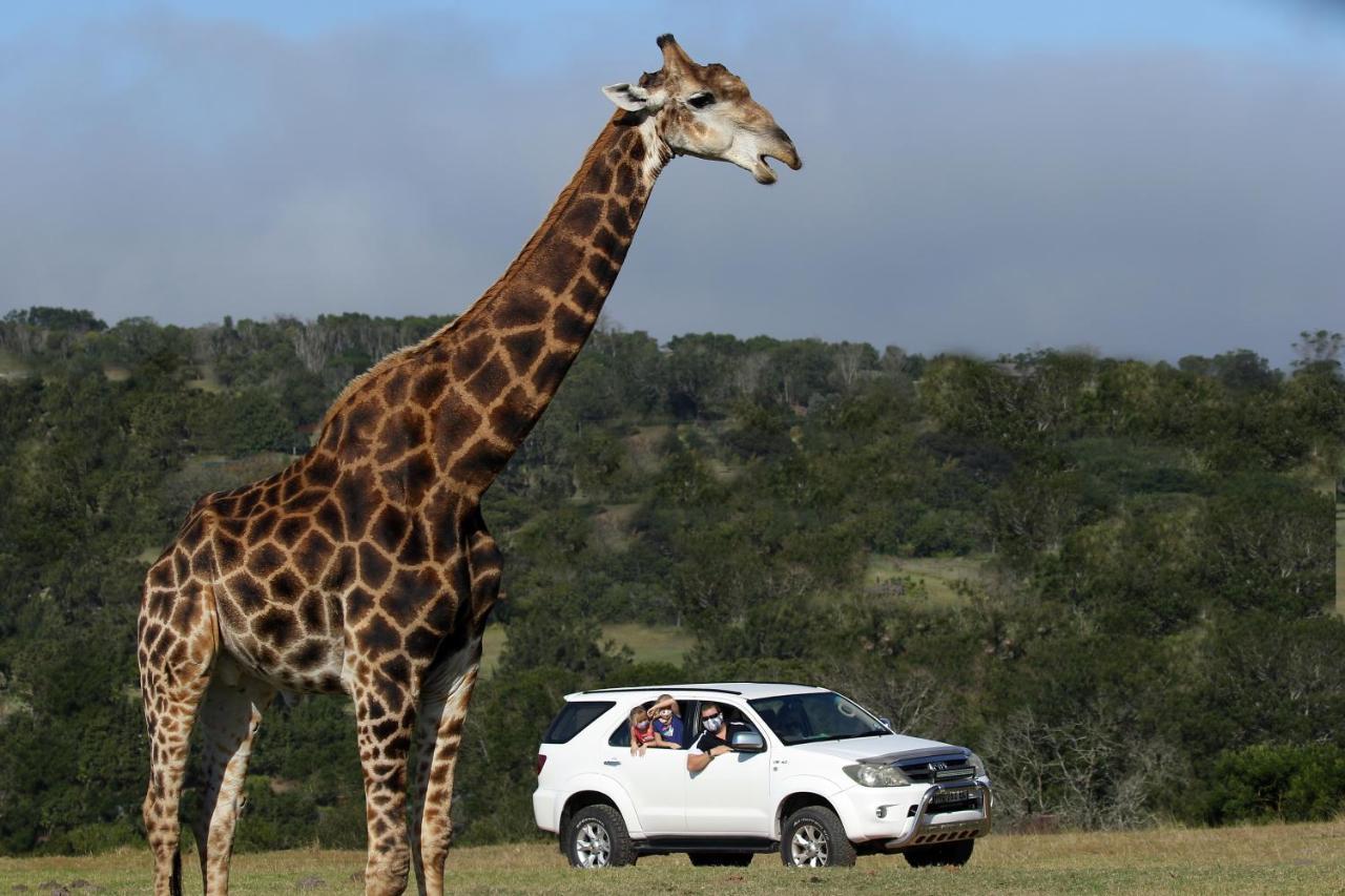 Willa Kragga Kamma Game Park Port Elizabeth Zewnętrze zdjęcie